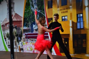 DSC_0070 (1)